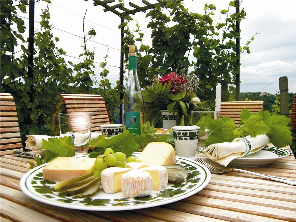 Weingut Mariaberg Apartment Meissen Luaran gambar