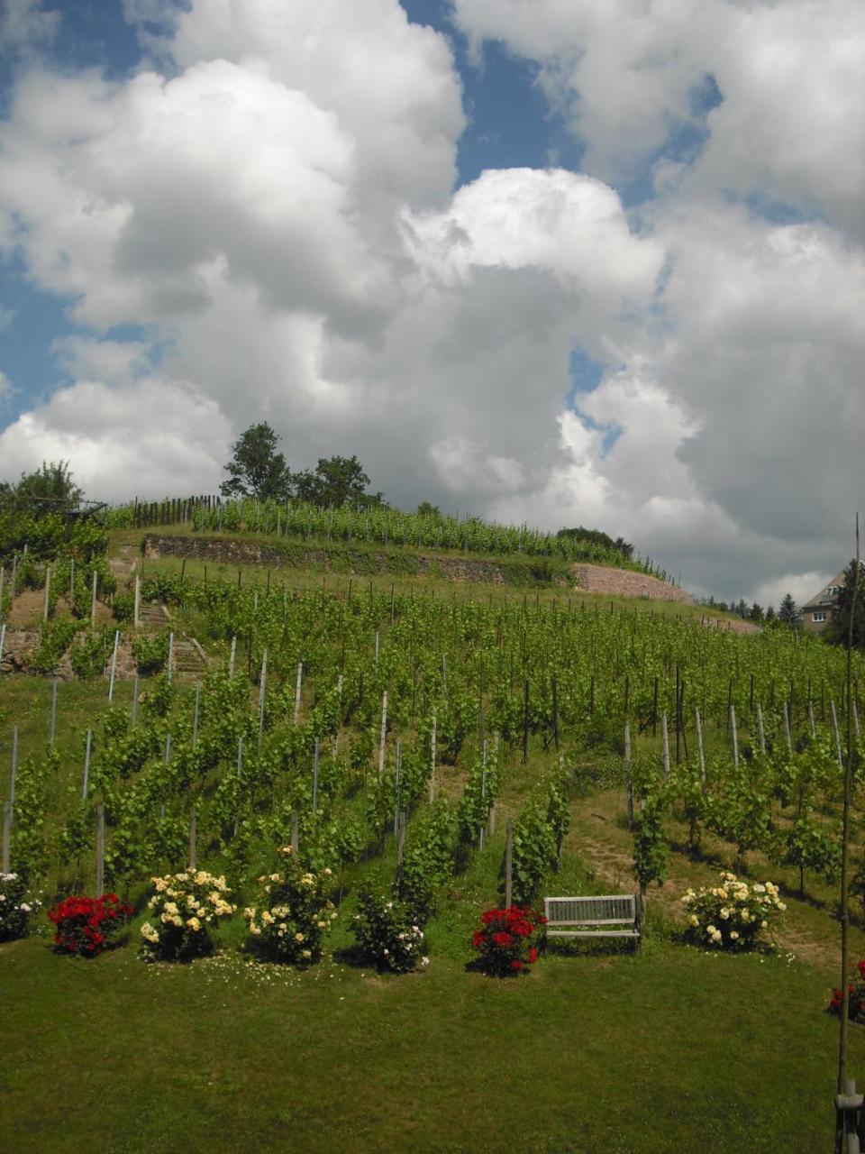 Weingut Mariaberg Apartment Meissen Luaran gambar