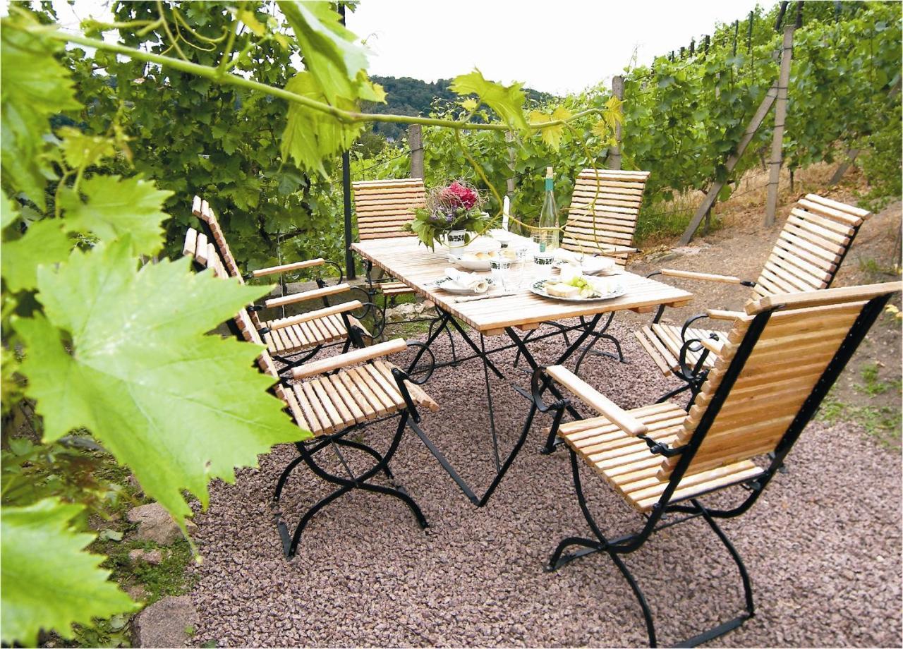 Weingut Mariaberg Apartment Meissen Luaran gambar